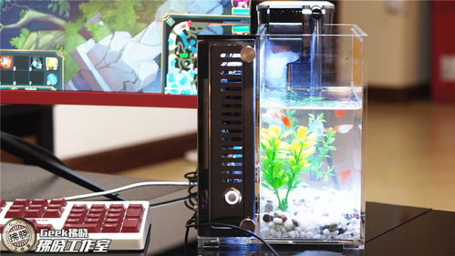 魚巢主機 電腦機箱里游動的科技與詩意